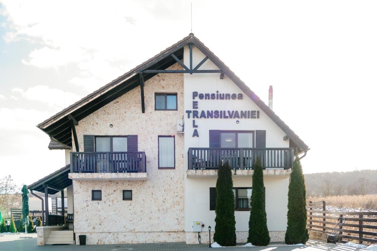 Pensiunea Perla Transilvaniei Moldoveneşti Екстериор снимка